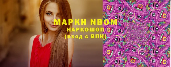 apvp Алзамай