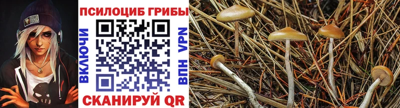 продажа наркотиков  Лаишево  Галлюциногенные грибы ЛСД 